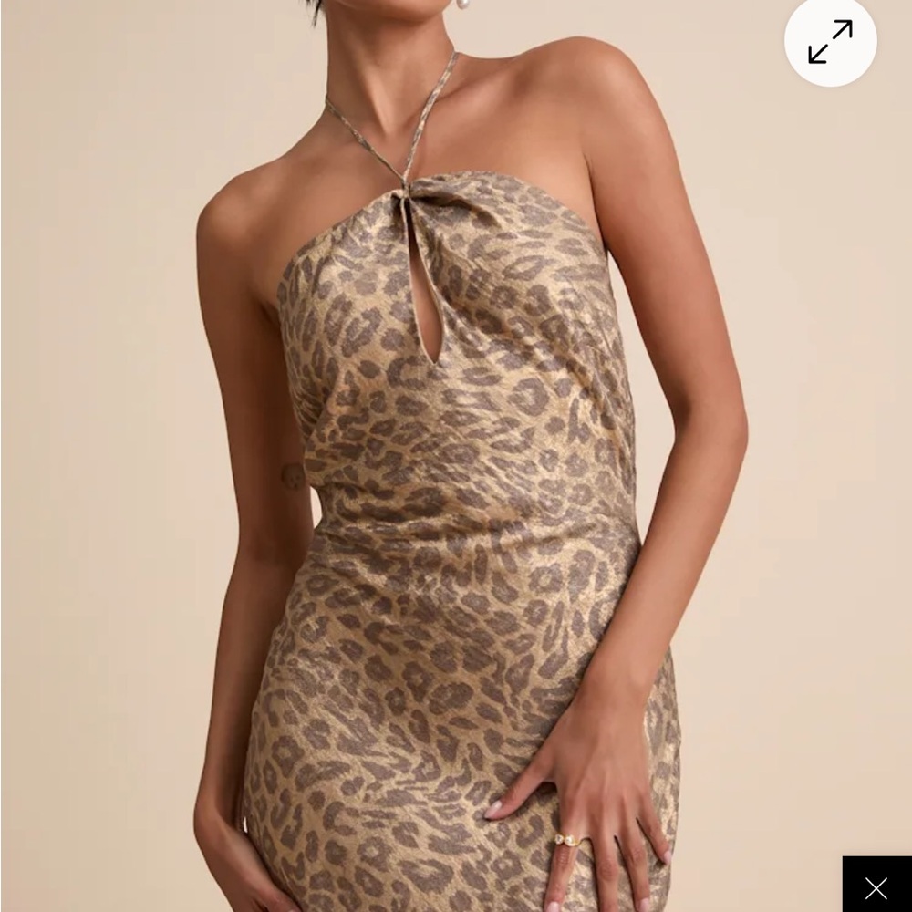 Lulu's Leopard Print Maxi Dress